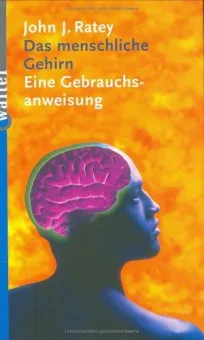 Das menschliche Gehirn